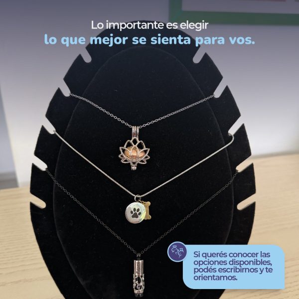 COLLARES